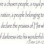 1 Peter 2:9-12 11"x 22" Bible Verse Wall Decal ~ Scripture Wall Art ~ Decor