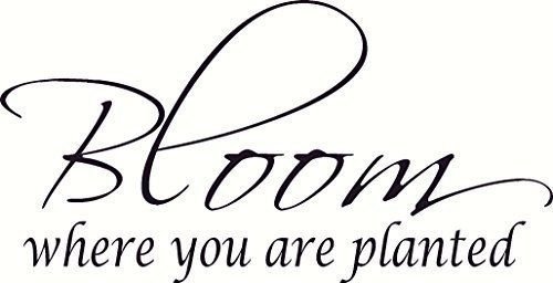 Bloom Where You Are Planted, Bible Verse Wall Decal Art. Our Christian Script...