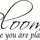 Bloom Where You Are Planted, Bible Verse Wall Decal Art. Our Christian Script...