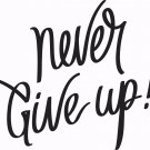 Never Give Up V3 11 x 14 : Motivational & inspirational Vinyl Wall Art