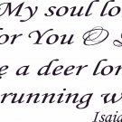 Isaiah 26:9 11" x 22" Bible Verse Wall Decal by Scripture Wall Art