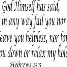 Hebrews 13:5, Vinyl Wall Art, God Himself Has Said, I Will Never Leave You no...