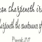 Proverbs 27:17 Bible Verse Wall Art, Wall Decal made by Scripture Wall Art