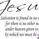 Acts 4:12, Bible Verse Wall Decal by Scripture Wall Art. Black vinyl 11x22