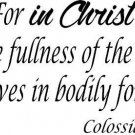 Colossians 2:9, Vinyl Wall Art, for in Christ All the Fulness of the Deity Li...