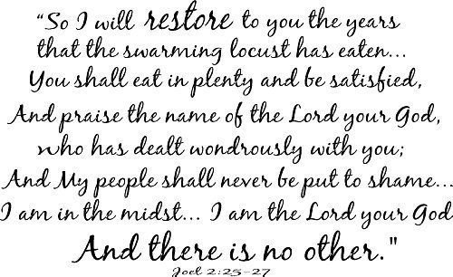 Joel 2:25-27, Vinyl Wall Art, I Will Restore to You the Years That the Locust...