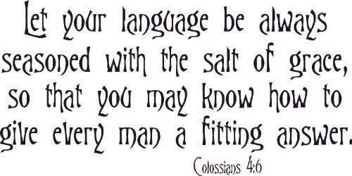 Colossians 4:6, Let Your Words Language Seasoned, Salt, Grace Vinyl Wall Art