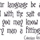 Colossians 4:6, Let Your Words Language Seasoned, Salt, Grace Vinyl Wall Art