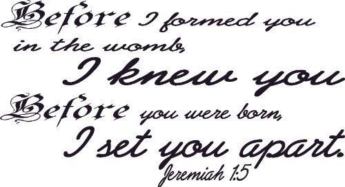 Jeremiah 1:5, Before I Formed You I Knew You, Set You Apart, Vinyl Wall Art