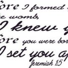 Jeremiah 1:5, Before I Formed You I Knew You, Set You Apart, Vinyl Wall Art
