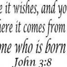 John 3:8, Vinyl Wall Art, the Wind Blows Where It Wishes, Hear Sound, Cannot ...