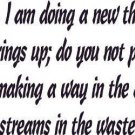 Isaiah 43:19, Vinyl Wall Art, See, Doing New Thing, Way, Streams Desert