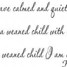 Psalm 131:2, 11 x 22 Bible Verse Wall Decal ~ Scripture Wall Art Decor
