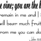 John 15:5, Vinyl Wall Art, I Am the Vine, You Are the Branches, Remain in Me ...