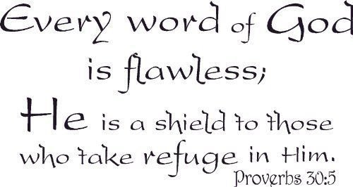 Proverbs 30:5, Vinyl Wall Art, Every Word of God Is Flawless a Shield to Thos...