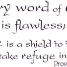 Proverbs 30:5, Vinyl Wall Art, Every Word of God Is Flawless a Shield to Thos...