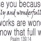 Psalm 139:14, 11 x 22 Bible Verse Wall Decal ~ Scripture Wall Art Decor
