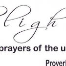 Proverbs 15:8, Bible verse wall decals, scripture, Vinyl Art, stickers, love