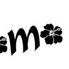 E Komo Mai, Hawaiin Hibiscus Flower Wall Art, Decal, Hawaii, Welcome, Make Home