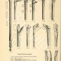 Illustrated catalogue standard surgical instruments Hudson surgical co inc 1915
