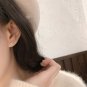 Classic Rose Flower Branch Leaves 925 Sterling Silver Stud Earrings