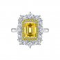 Created High Carbon Diamond Flower CZ Border 925 Sterling Silver Ring