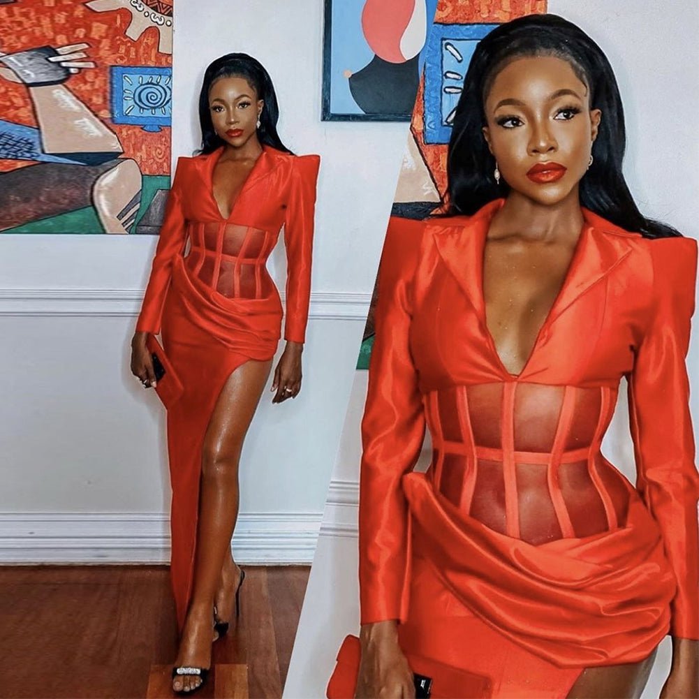 V Neck Long Sleeve Mesh Dress
