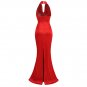 Halter Sleeveless Elegant Maxi Dress