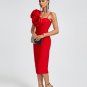 Huge Flowers Bandage Midi Dress