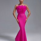 Strapless Feather Maxi Bandage Dress