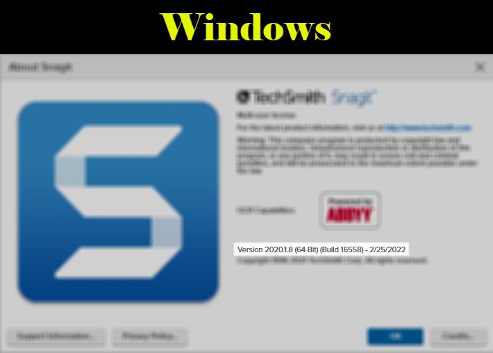 [Lifetime] (Read Description) TechSmith Snagit 2020 - 2 Machines [Windows / macOS]