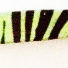ZEBRA ANIMAL Print Safari  SLANT TWEEZER STAINLESS STEEL -- Green