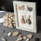 Home Decoration
