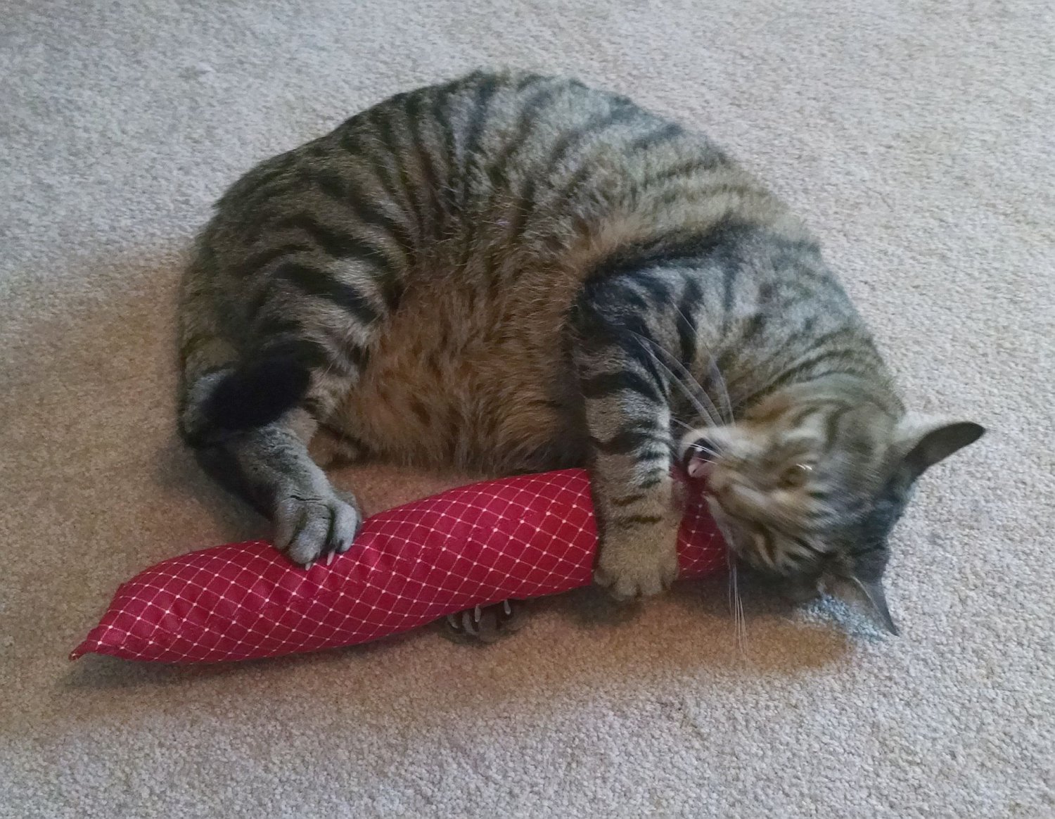 15" Catnip Kitty Kicker Stix "With No Catnip Pocket" (Red1)