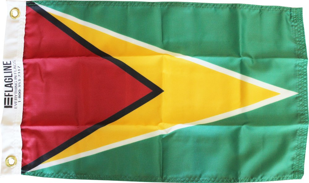 Guyana - 12"X18" Nylon Flag