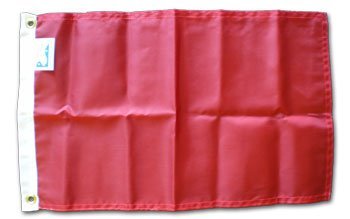 Protest - 12""x18"" Nylon Flag