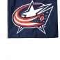 Columbus Blue Jackets Car Flag