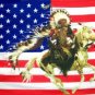 American Indian on Pony - 3"X5" Polyester Flag