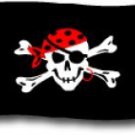One Eyed Jack - 3"X5" Nylon Flag
