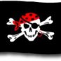 One Eyed Jack - 3"X5" Nylon Flag