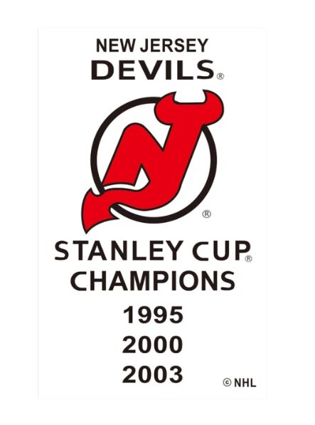 NEW JERSEY DEVILS Flag