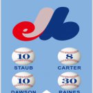 expos de montreal flag
