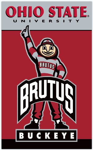 BRUTUS flag