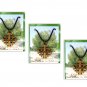 3 Pcs Olive Wood Jerusalem Cross Necklace Hand Made Holy land Israel