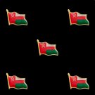 5PCS Sultanate of Oman National Flag Lapel Pin Enamel Made of Metal Souvenir Hat Men