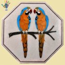 Marble Side Table Top Inlay Pietra Dura Parrot Design Handmade for Home Decor