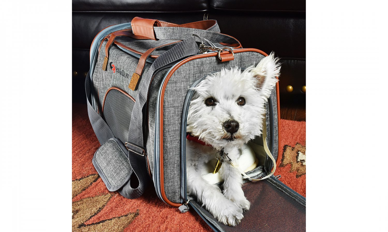 Comfy Soft-Fabric Pet Carrier Bag for Air Travel with Cats, Small Dogs