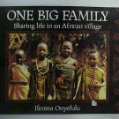 One Big Family - Ifeoma Onyefulu