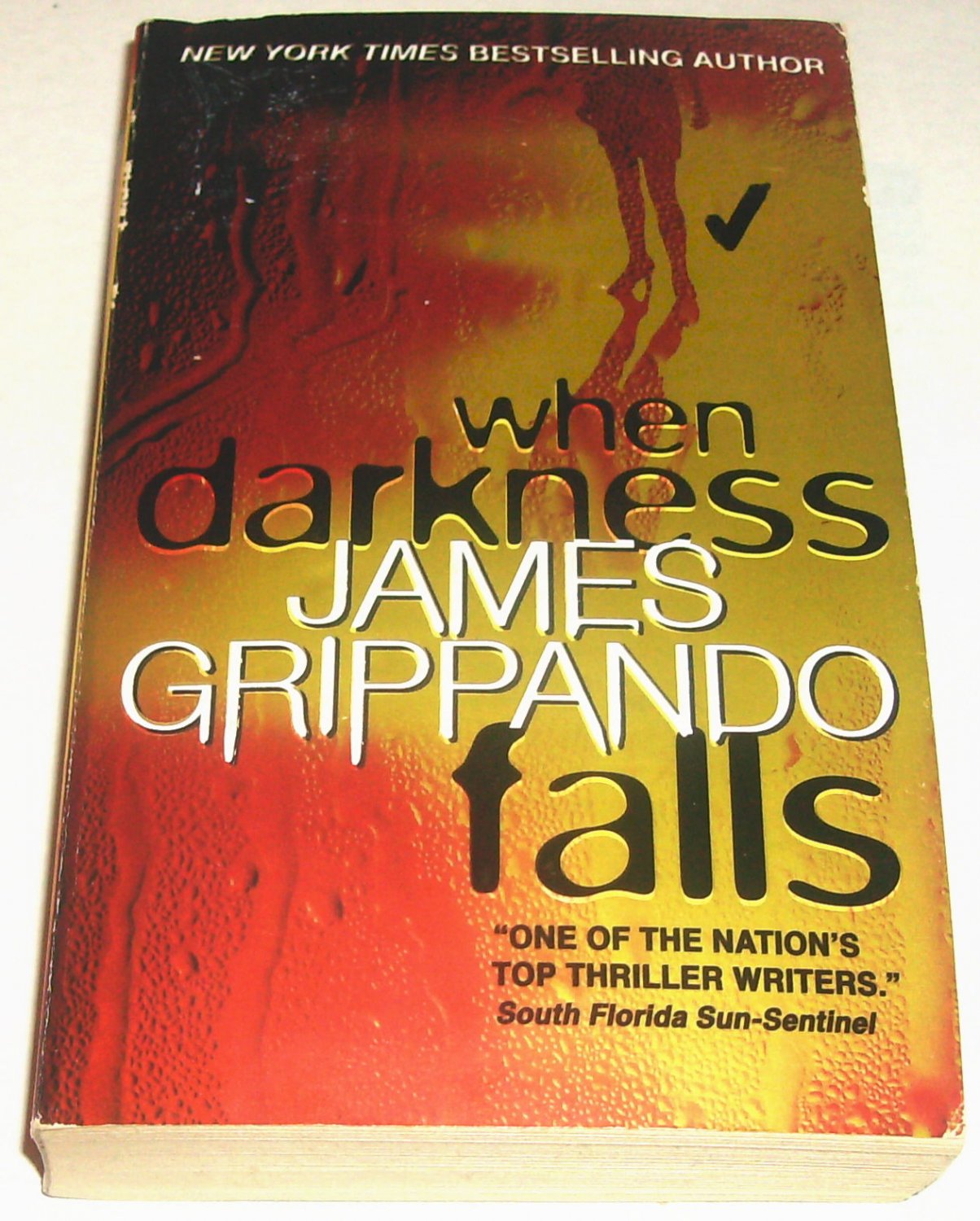 Jack Swyteck Novel: When Darkness Falls Bk. 6 by James Grippando (2007, Paperbac