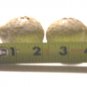 BEIGE MOLE SALT AND PEPPER SHAKERS